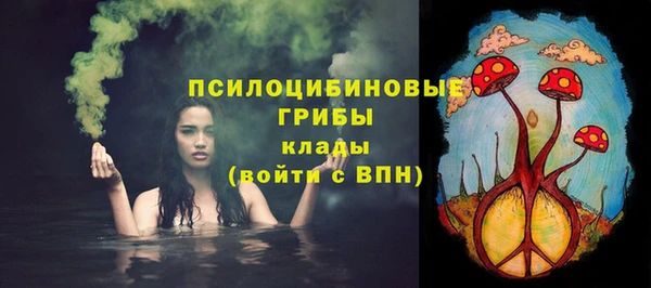 ПСИЛОЦИБИНОВЫЕ ГРИБЫ Елизово