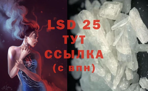 дурь Ельня