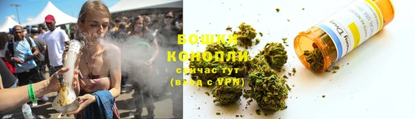 дурь Ельня