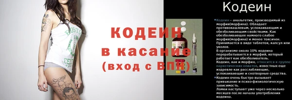 дживик Заводоуковск