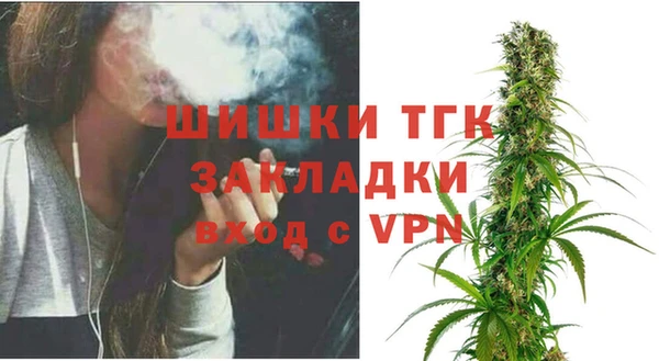 дурь Ельня